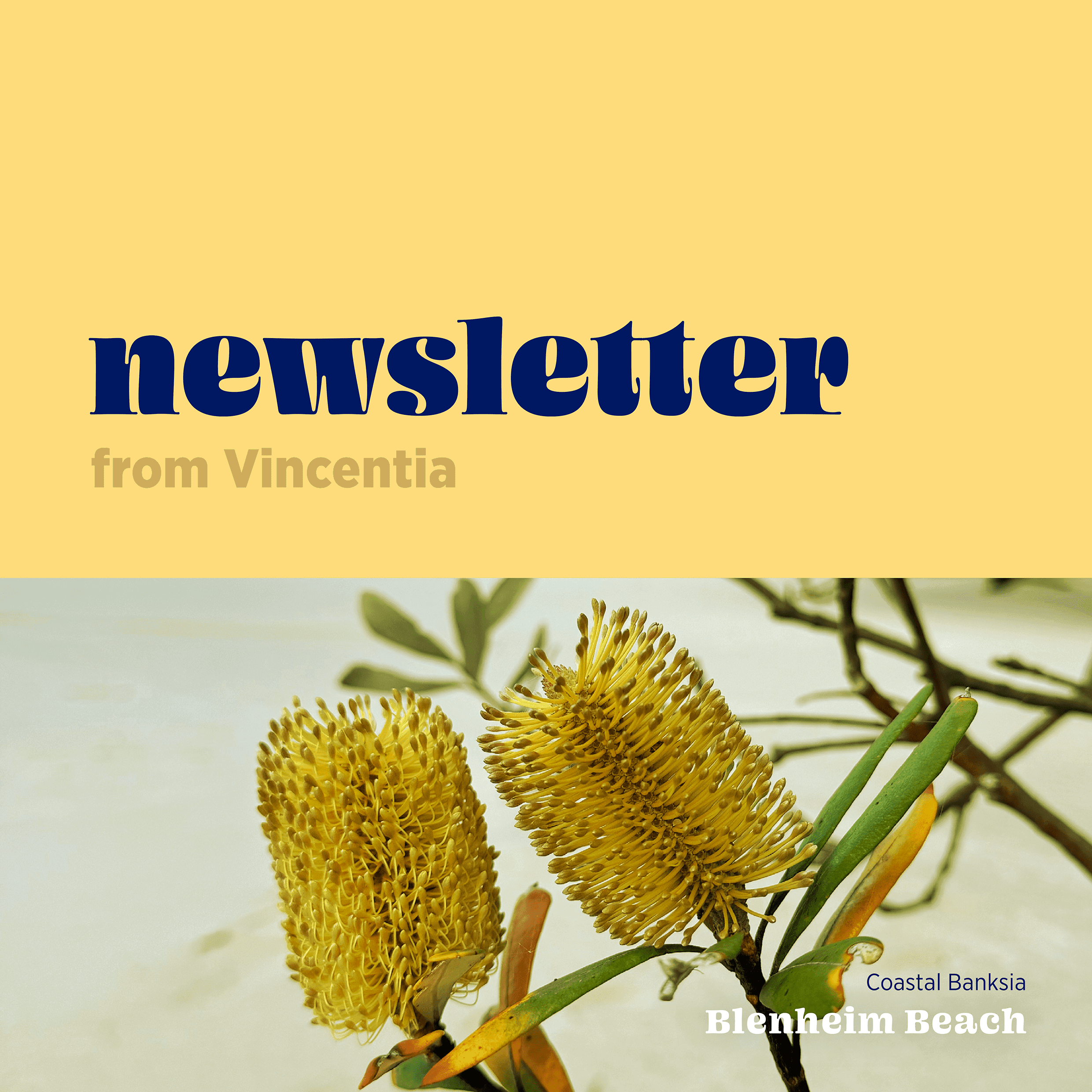 You are currently viewing Newsletter – August 2025